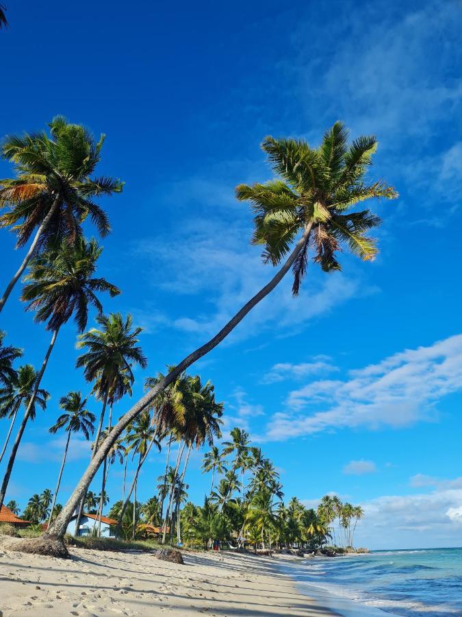 Flat Praia Dos Carneiros ตามังดาเร ภายนอก รูปภาพ